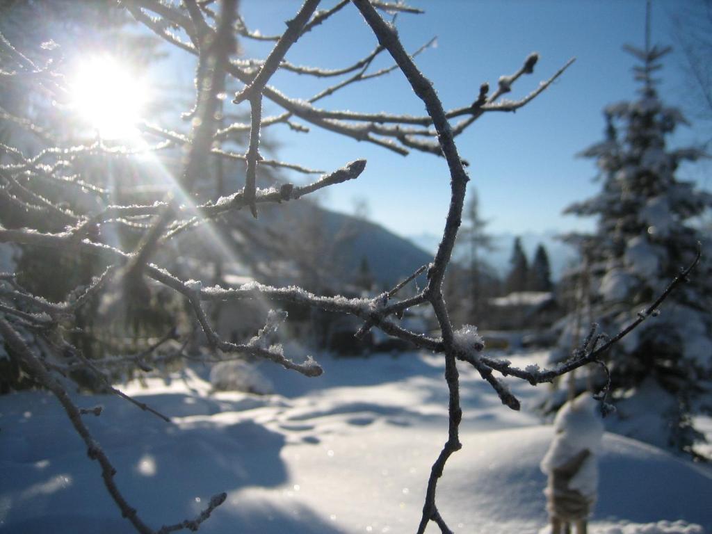 Haus Elisengrund Am Geigenbuehel - Chalet Prive เซเฟลด์ อิน ทิโรล ห้อง รูปภาพ