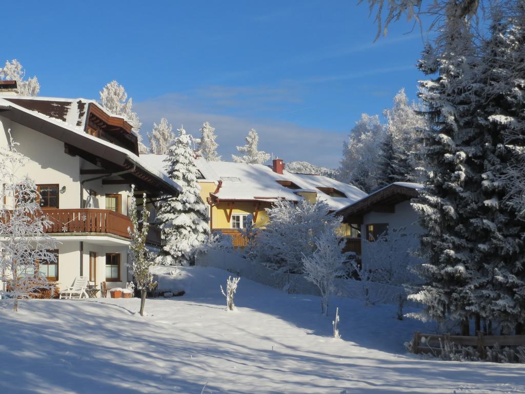 Haus Elisengrund Am Geigenbuehel - Chalet Prive เซเฟลด์ อิน ทิโรล ภายนอก รูปภาพ